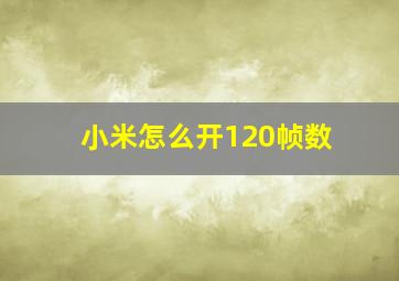 小米怎么开120帧数