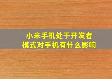 小米手机处于开发者模式对手机有什么影响