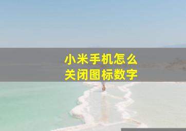 小米手机怎么关闭图标数字