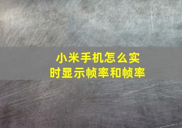 小米手机怎么实时显示帧率和帧率