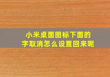 小米桌面图标下面的字取消怎么设置回来呢