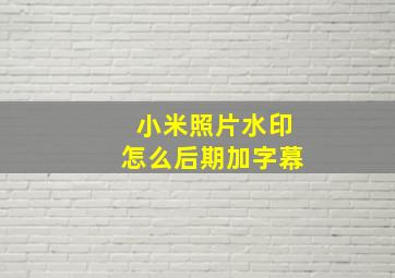 小米照片水印怎么后期加字幕