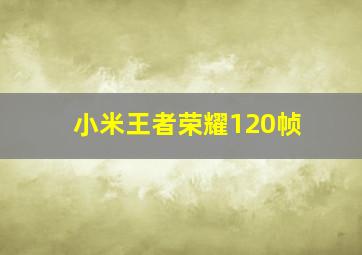 小米王者荣耀120帧