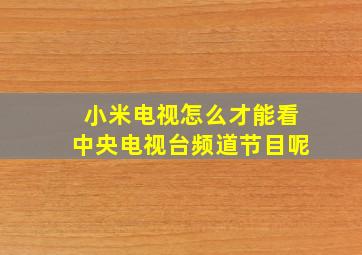 小米电视怎么才能看中央电视台频道节目呢