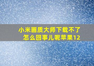 小米画质大师下载不了怎么回事儿呢苹果12