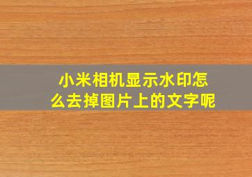 小米相机显示水印怎么去掉图片上的文字呢