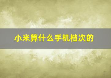 小米算什么手机档次的