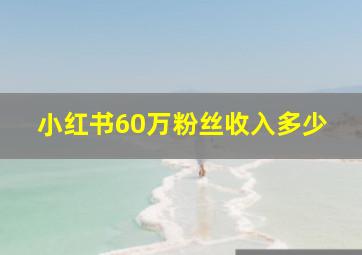 小红书60万粉丝收入多少