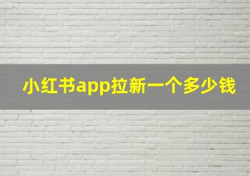 小红书app拉新一个多少钱