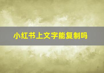 小红书上文字能复制吗