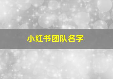 小红书团队名字