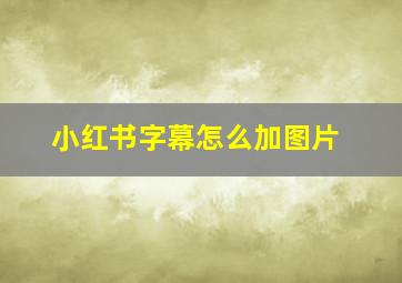 小红书字幕怎么加图片