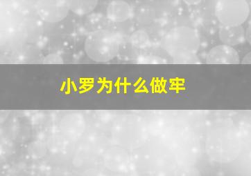 小罗为什么做牢