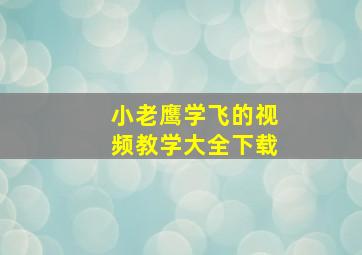 小老鹰学飞的视频教学大全下载