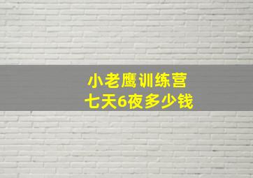 小老鹰训练营七天6夜多少钱