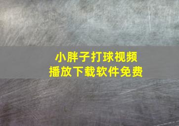 小胖子打球视频播放下载软件免费