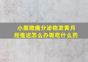 小腹微痛分泌物发黄月经推迟怎么办呢吃什么药