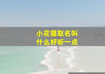 小花猫取名叫什么好听一点