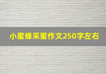 小蜜蜂采蜜作文250字左右