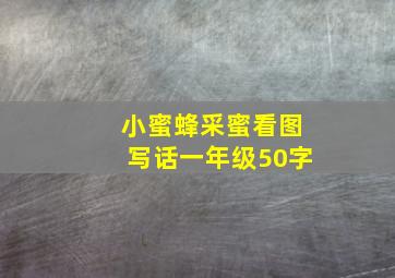 小蜜蜂采蜜看图写话一年级50字