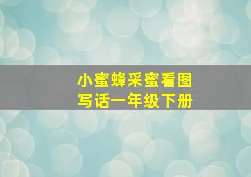 小蜜蜂采蜜看图写话一年级下册