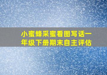 小蜜蜂采蜜看图写话一年级下册期末自主评估