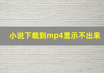 小说下载到mp4显示不出来