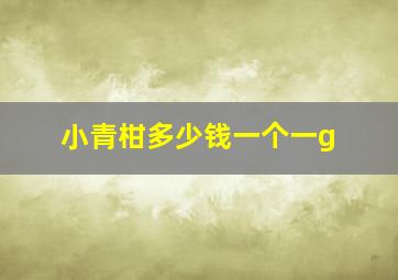 小青柑多少钱一个一g