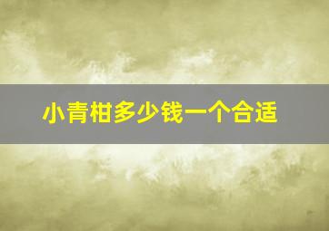 小青柑多少钱一个合适