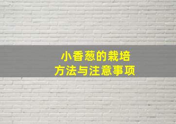 小香葱的栽培方法与注意事项