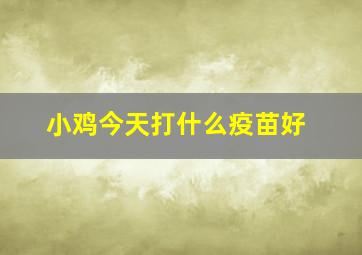 小鸡今天打什么疫苗好