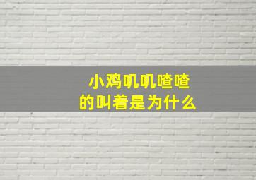 小鸡叽叽喳喳的叫着是为什么