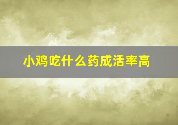 小鸡吃什么药成活率高