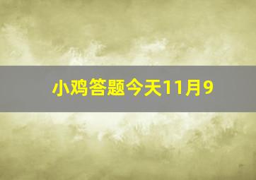 小鸡答题今天11月9