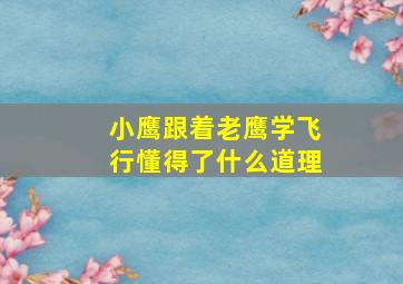 小鹰跟着老鹰学飞行懂得了什么道理