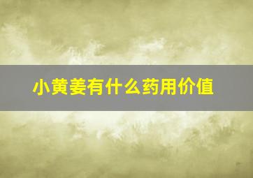 小黄姜有什么药用价值