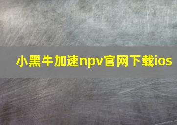 小黑牛加速npv官网下载ios