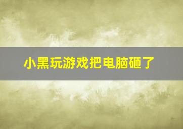 小黑玩游戏把电脑砸了