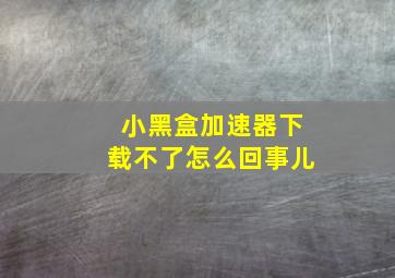 小黑盒加速器下载不了怎么回事儿