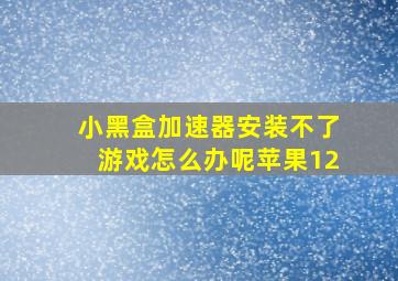 小黑盒加速器安装不了游戏怎么办呢苹果12