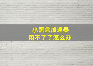 小黑盒加速器用不了了怎么办