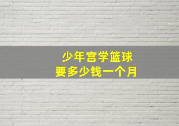 少年宫学篮球要多少钱一个月