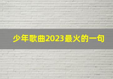 少年歌曲2023最火的一句