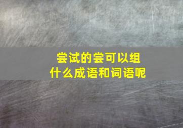 尝试的尝可以组什么成语和词语呢