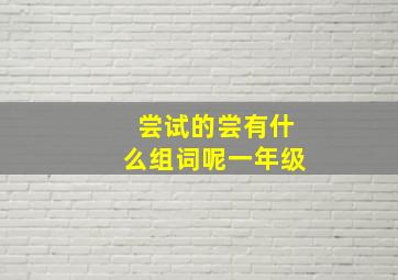 尝试的尝有什么组词呢一年级