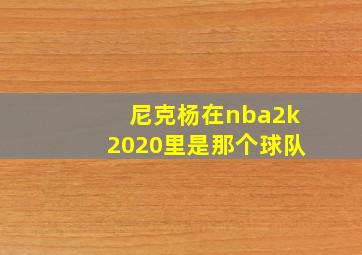 尼克杨在nba2k2020里是那个球队