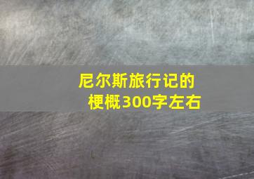 尼尔斯旅行记的梗概300字左右