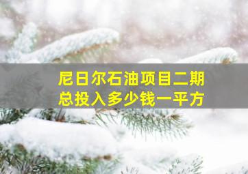 尼日尔石油项目二期总投入多少钱一平方