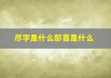 尽字是什么部首是什么