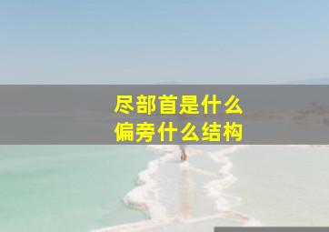 尽部首是什么偏旁什么结构